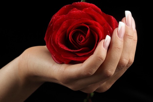 care--manicure--blooming--rose_3263459